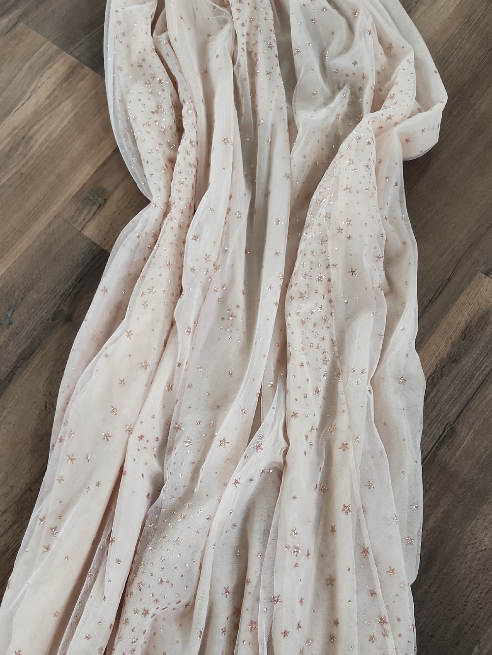 Sheer Elastic Waist Skirt